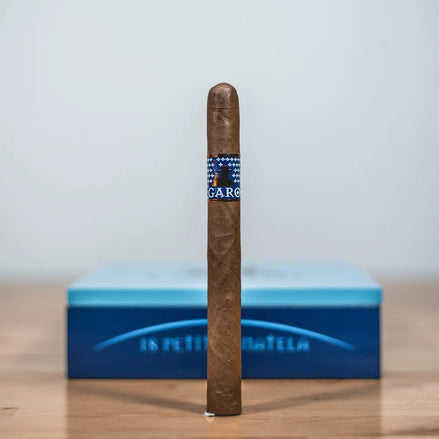 Blue - Petite Panatela